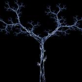 computer generated pattern of blue white branching lines