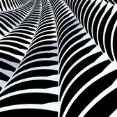 a computer genetated pattern that looks remenicent of the forms in a spiders web