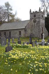 a small country church in the uk, pictured in spring with daffodils in the churchyard