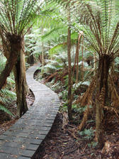 [field_ifd0_imagedescription-formatted]