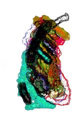 [field_ifd0_imagedescription-formatted]