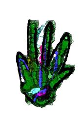 [field_ifd0_imagedescription-formatted]