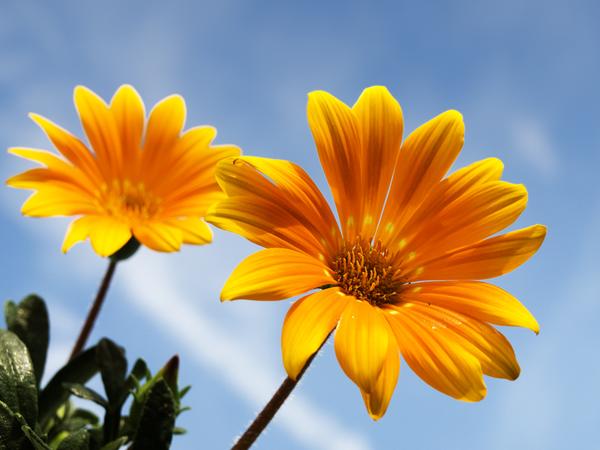 [field_ifd0_imagedescription-formatted]