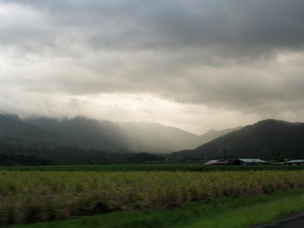 [field_ifd0_imagedescription-formatted]