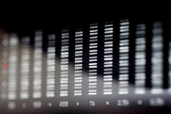 [field_ifd0_imagedescription-formatted]