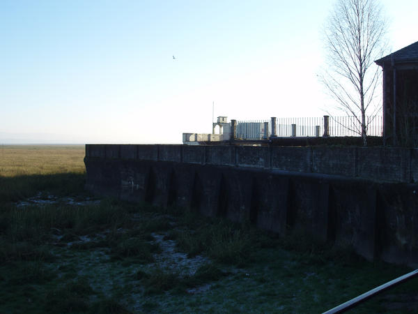 [field_ifd0_imagedescription-formatted]