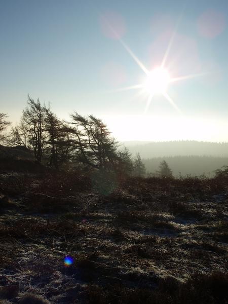 [field_ifd0_imagedescription-formatted]