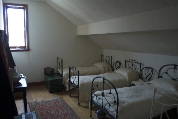 [field_ifd0_imagedescription-formatted]