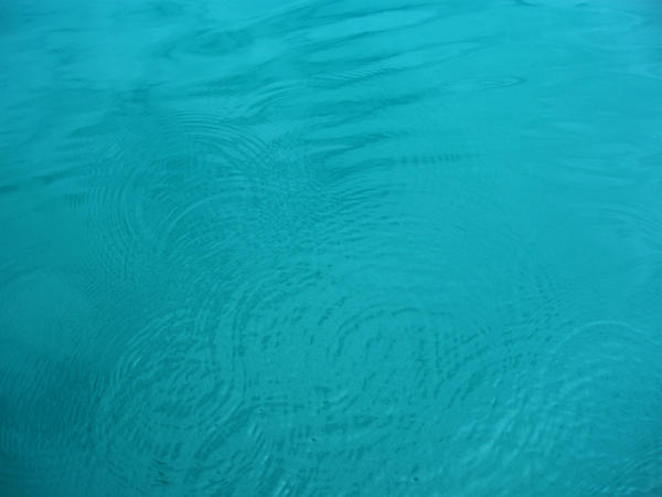 [field_ifd0_imagedescription-formatted]