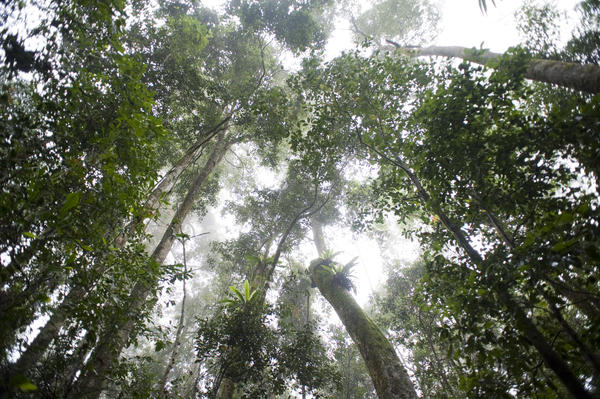 [field_ifd0_imagedescription-formatted]