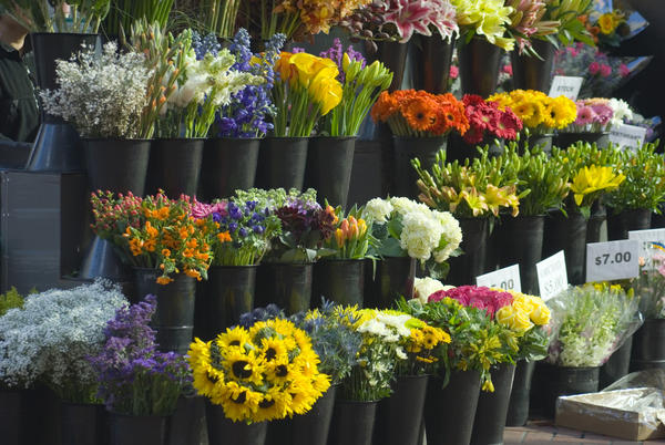 [field_ifd0_imagedescription-formatted]