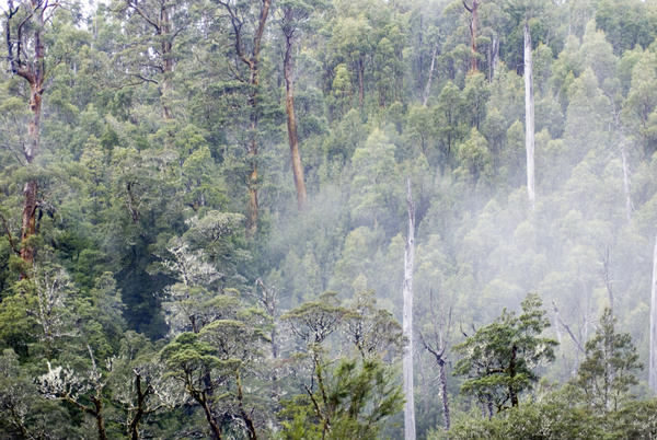 [field_ifd0_imagedescription-formatted]