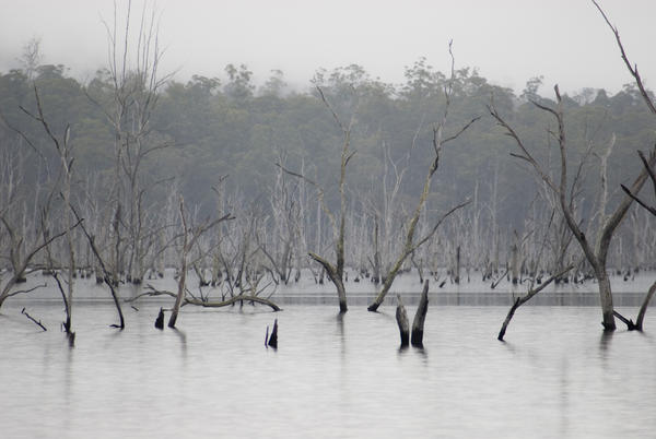 [field_ifd0_imagedescription-formatted]