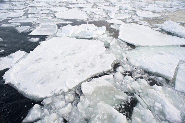 [field_ifd0_imagedescription-formatted]