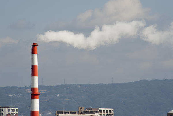 [field_ifd0_imagedescription-formatted]