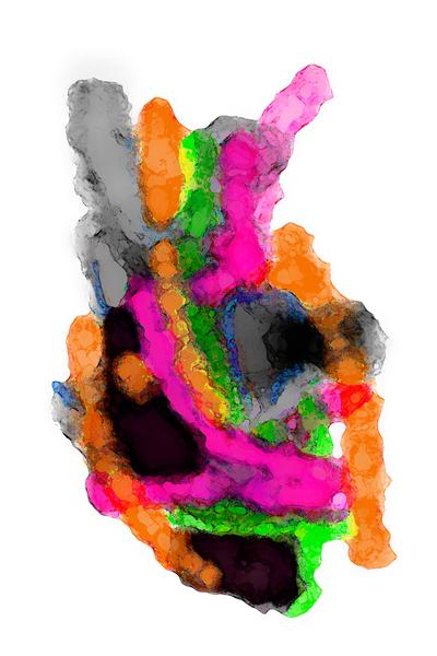 [field_ifd0_imagedescription-formatted]