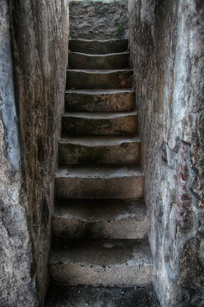 [field_ifd0_imagedescription-formatted]