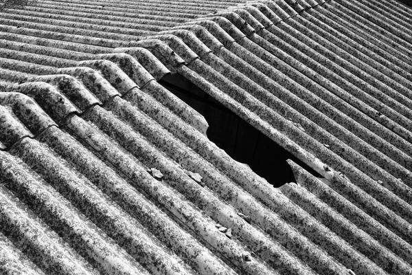 [field_ifd0_imagedescription-formatted]