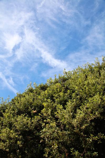 [field_ifd0_imagedescription-formatted]