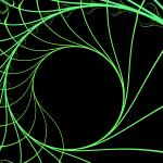 fractal pattern of natural from similar to sea shell patterns