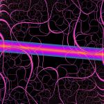 a pattern of varying thicknesses of pink undulating lines