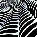 a computer genetated pattern that looks remenicent of the forms in a spiders web