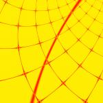 red cruved mesh design on a yellow background