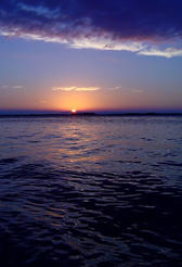 [field_ifd0_imagedescription-formatted]