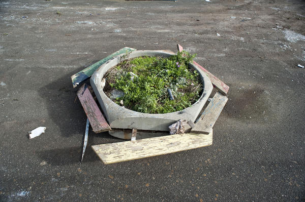 [field_ifd0_imagedescription-formatted]