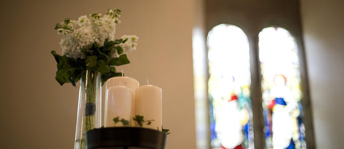 [field_ifd0_imagedescription-formatted]